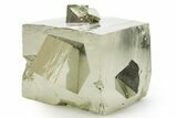 Shiny, Natural Pyrite Cube Cluster - Navajun, Spain #361922-1